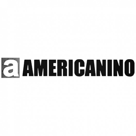 Americanino Logo