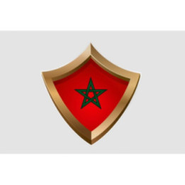 Maroc Flag Style 28 Sticker - DecalsHouse