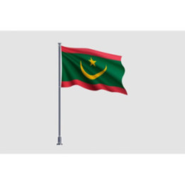 Mauritania Flag Style 5 Sticker - DecalsHouse