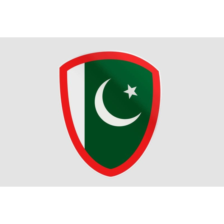Pakistan Flag Style 101 Sticker - DecalsHouse
