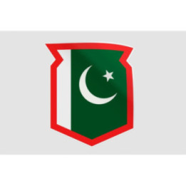 Pakistan Flag Style 102 Sticker - DecalsHouse