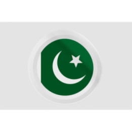Pakistan Flag Style 11 Sticker - DecalsHouse
