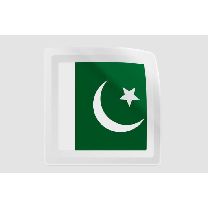 Pakistan Flag Style 12 Sticker - DecalsHouse