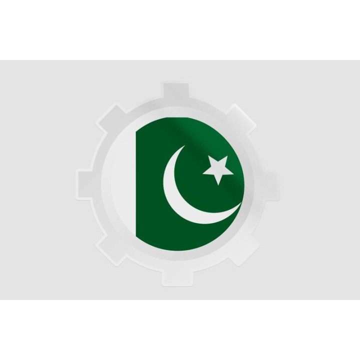 Pakistan Flag Style 14 Sticker - DecalsHouse