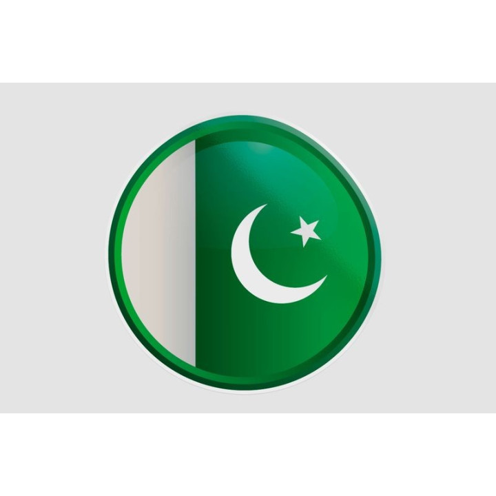 Pakistan Flag Style 20 Sticker - DecalsHouse