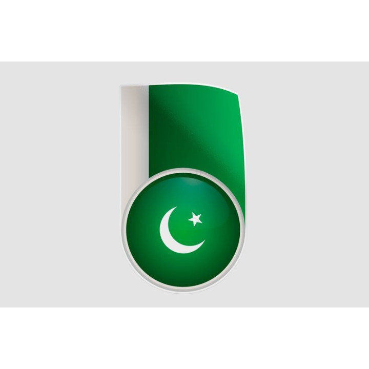 Pakistan Flag Style 24 Sticker - DecalsHouse