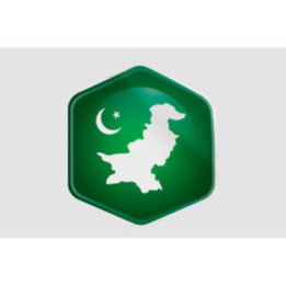 Pakistan Flag Style 27 Sticker - DecalsHouse