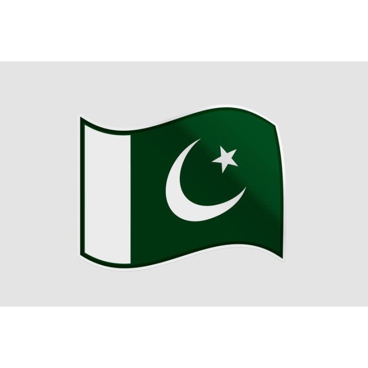 Pakistan Flag Style 3 Sticker - DecalsHouse