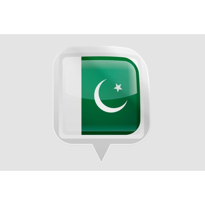 Pakistan Flag Style 34 Sticker - DecalsHouse