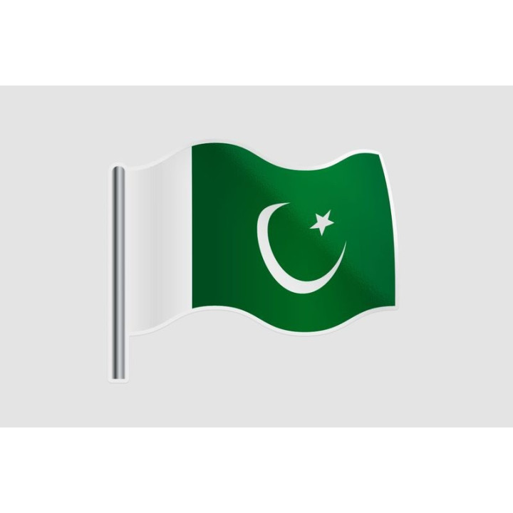 Pakistan Flag Style 38 Sticker - DecalsHouse