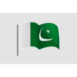Pakistan Flag Style 49 Sticker - DecalsHouse