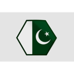 Pakistan Flag Style 5 Sticker - DecalsHouse