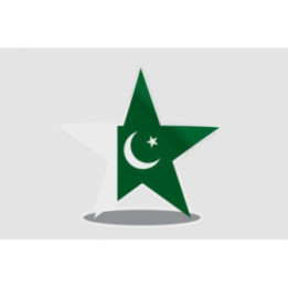 Pakistan Flag Style 57 Sticker - DecalsHouse