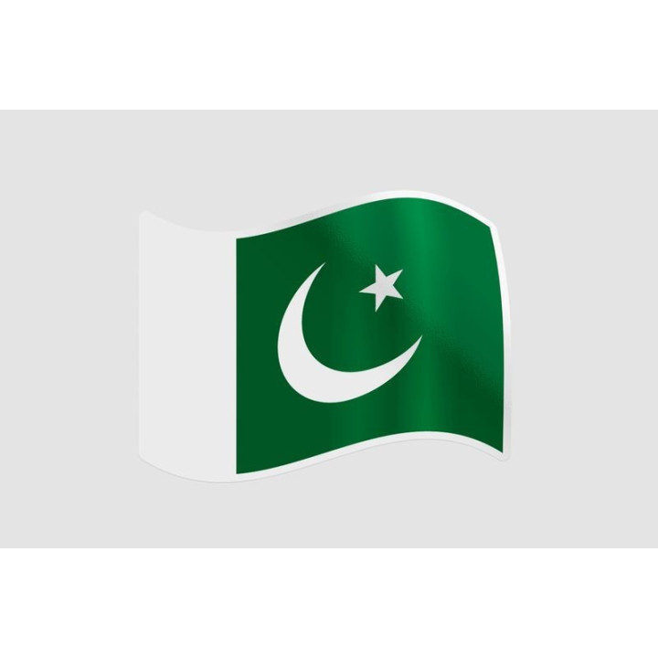 Pakistan Flag Style 60 Sticker - DecalsHouse