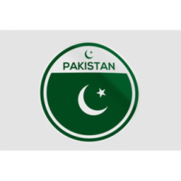 Pakistan Flag Style 65 Sticker - DecalsHouse