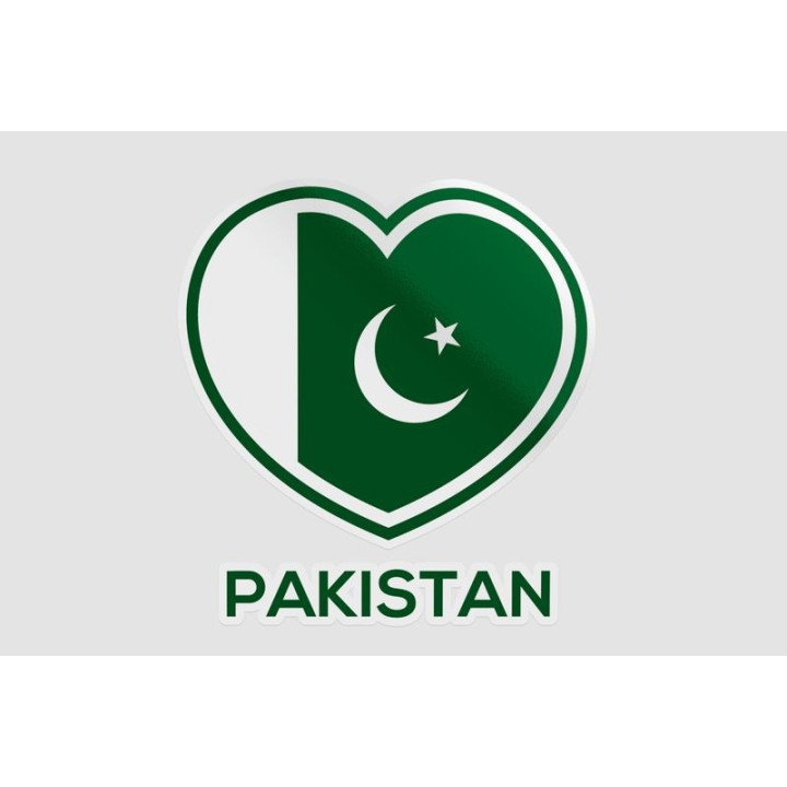 Pakistan Flag Style 67 Sticker - DecalsHouse