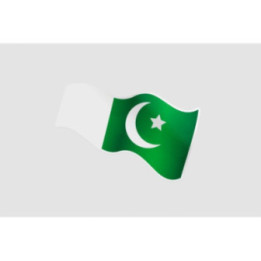 Pakistan Flag Style 7 Sticker - DecalsHouse