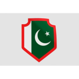 Pakistan Flag Style 92 Sticker - DecalsHouse