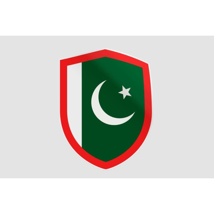 Pakistan Flag Style 94 Sticker - DecalsHouse
