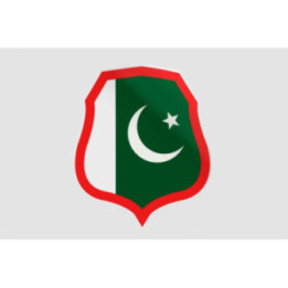Pakistan Flag Style 96 Sticker - DecalsHouse