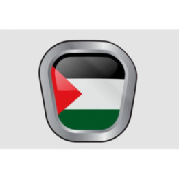 Palestine Flag Style 12 Sticker - DecalsHouse