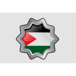 Palestine Flag Style 15 Sticker - DecalsHouse