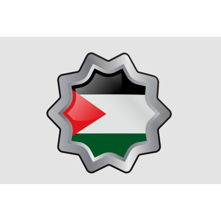 Palestine Flag Style 15 Sticker - DecalsHouse