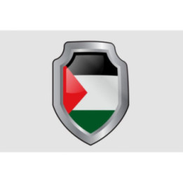 Palestine Flag Style 16 Sticker - DecalsHouse