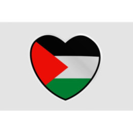 Palestine Flag Style 20 Sticker - DecalsHouse