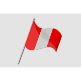Peru Flag Style 28 Sticker - DecalsHouse