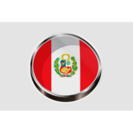 Peru Flag Style 65 Sticker - DecalsHouse