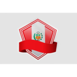 Peru Flag Style 91 Sticker - DecalsHouse