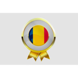 Republic Of Chad Flag Style 11 Sticker - DecalsHouse