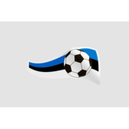 Soccer Ball Flag Style 5 Sticker - DecalsHouse