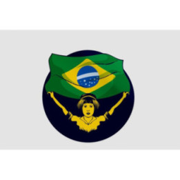 Vintage Independence Day Of Brazil Style 5 Sticker - DecalsHouse