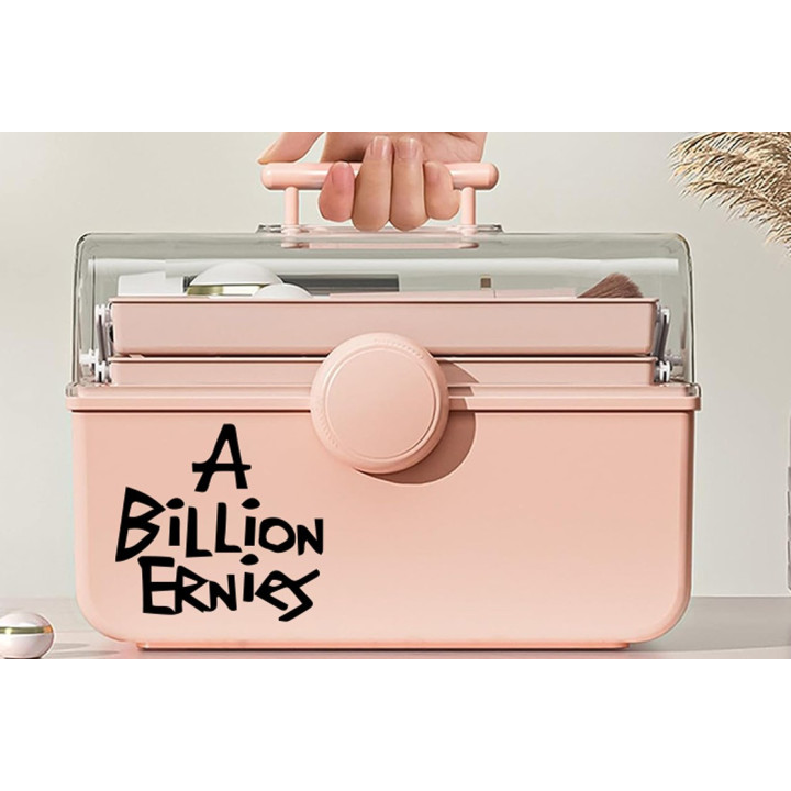 A Billion Ernies Stickers – Ska Punk Band Decals (2-Pack)