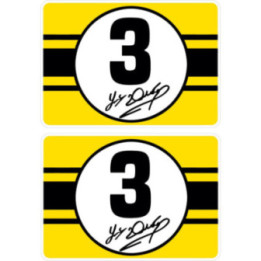 2x Dunlop Joey Stickers Decals - DecalsHouse