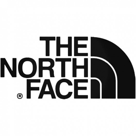 The North Face Logo2