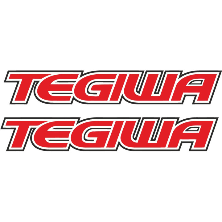 Tegiwa Motorsport Stickers – Honda Civic Type R Track Build Decals (2-Pack)