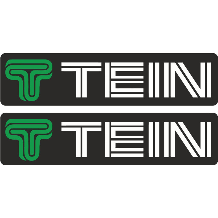 2x Tein Stickers Decals - DecalsHouse