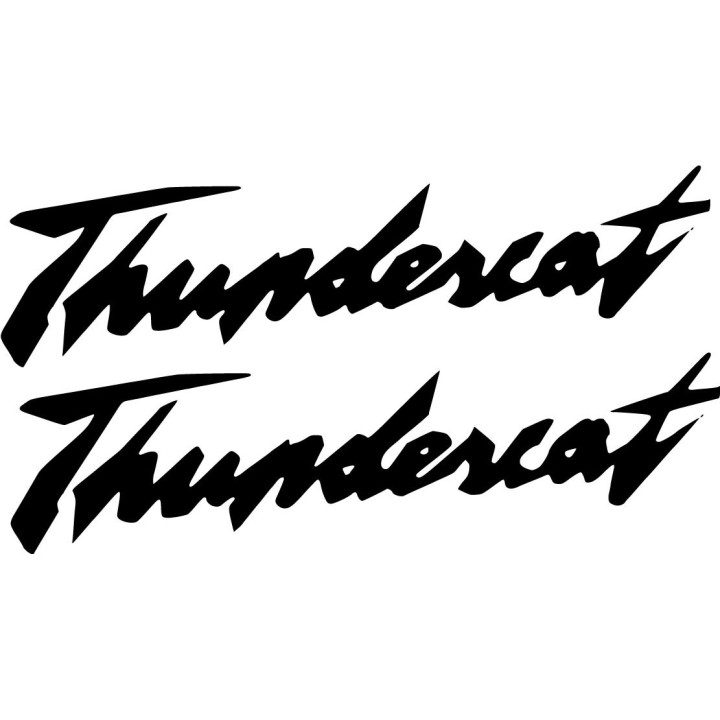 Arctic Cat Thundercat Die Cut Lettering Stickers Decals - DecalsHouse