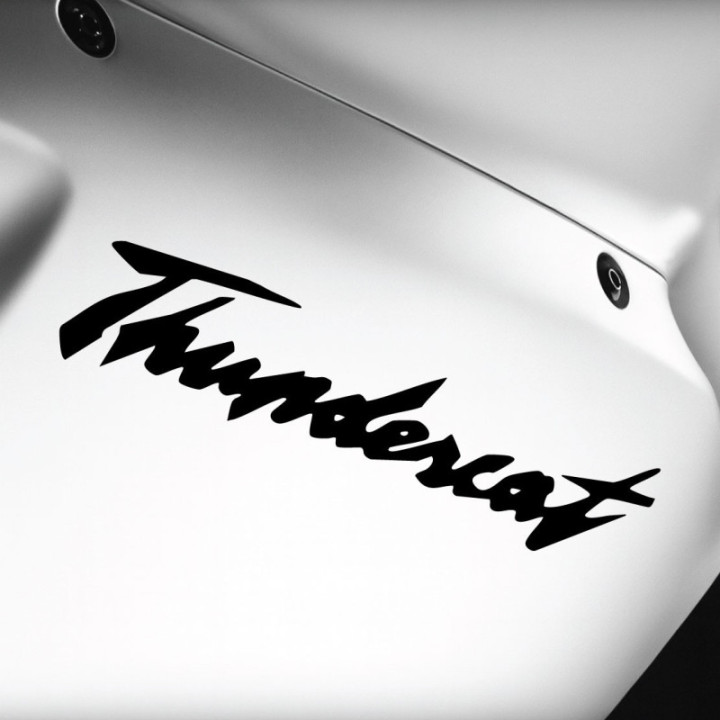 Arctic Cat Thundercat Die Cut Lettering Stickers Decals - DecalsHouse