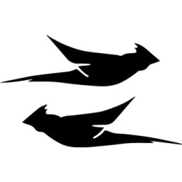 Buy Cessna Cardinal Aircraft Boat Kit Decal Sticker Online