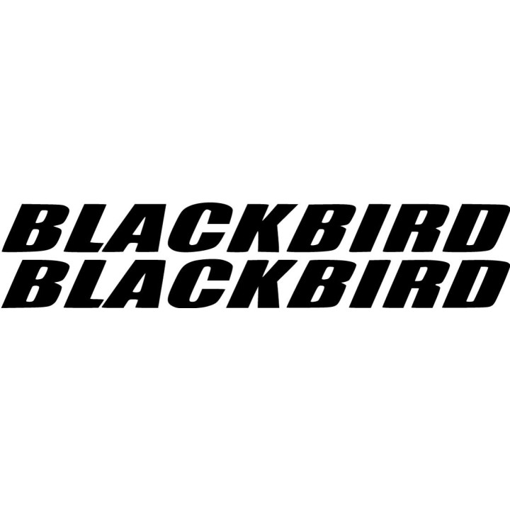 Honda Blackbird Die Cut Lettering Stickers Decals - DecalsHouse