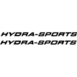 Buy Hydrasports S Gold Boat Kit Decal Sticker Online