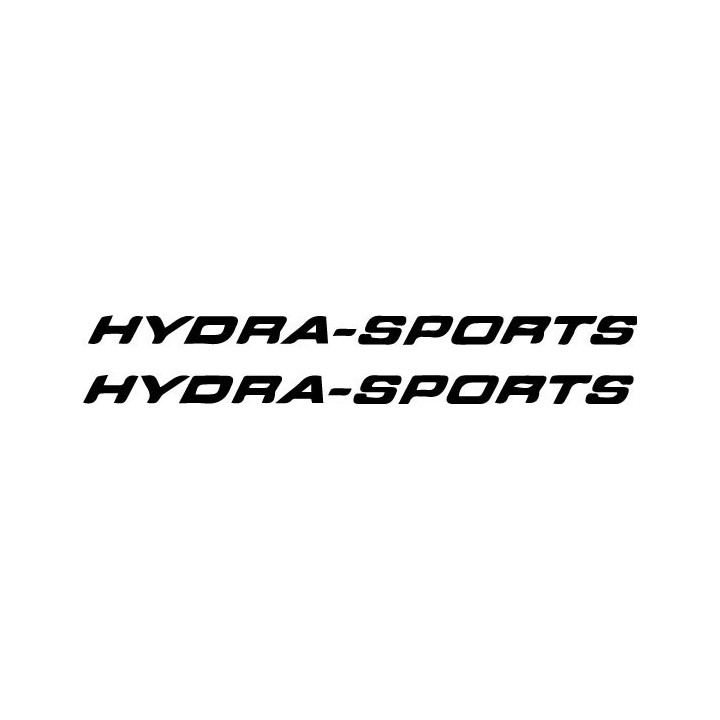 Buy Hydrasports S Gold Boat Kit Decal Sticker Online