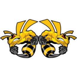 Honda CB Hornet 919 Stickers – CB900F Naked Bike Decals (2-Pack)