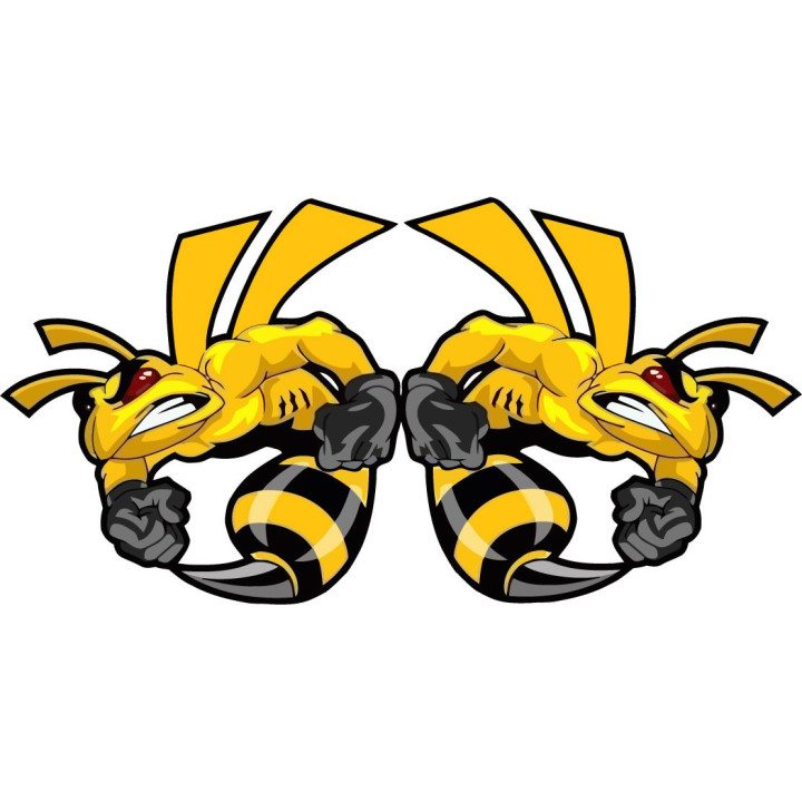 Honda CB Hornet 919 Stickers – CB900F Naked Bike Decals (2-Pack)