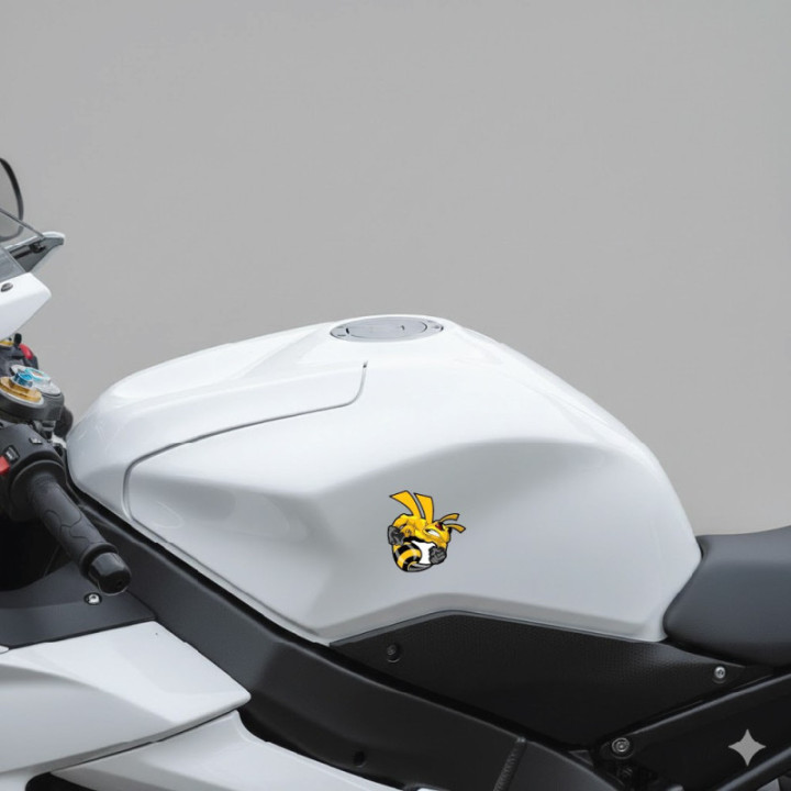 Honda CB Hornet 919 Stickers – CB900F Naked Bike Decals (2-Pack)