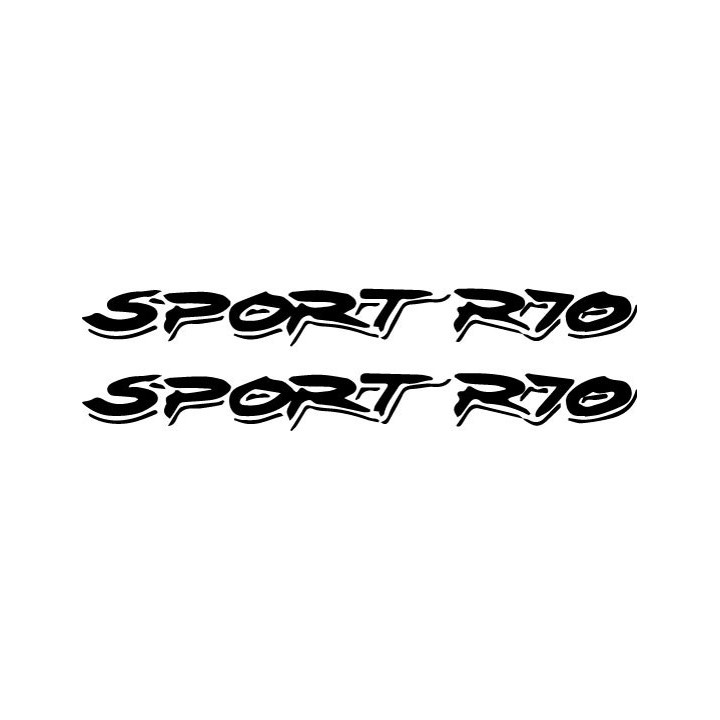 Buy Ranger Sport R70 Boat Kit Decal Sticker Online
